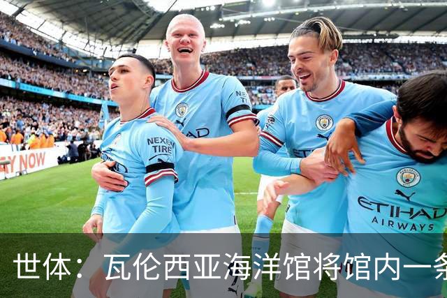 世体：瓦伦西亚海洋馆将馆内一条鲨鱼命名为费兰-托雷斯
