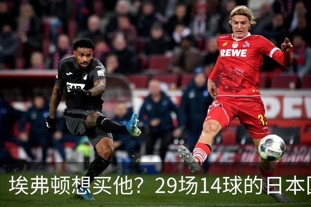 埃弗顿想买他？29场14球的日本国脚标价2500万，值不值？