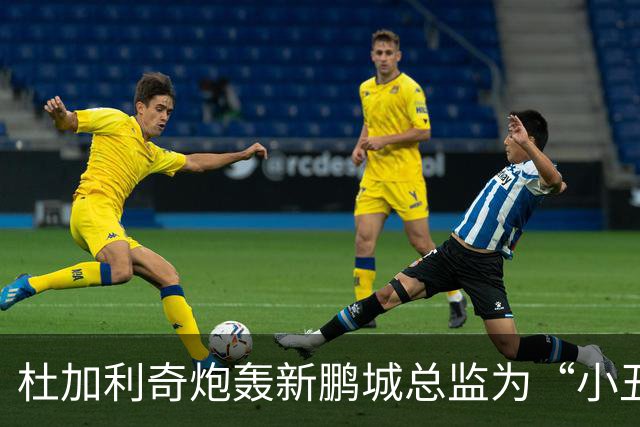 杜加利奇炮轰新鹏城总监为“小丑”：滚回家去吧，你根本不懂足球