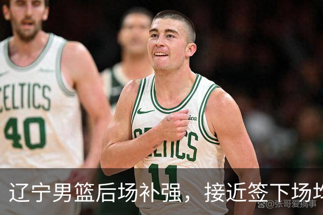 辽宁男篮后场补强，接近签下场均12.7分优质国产后卫，王岚嵚有可能离队！